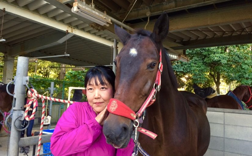 レッスン後の蹄洗場にお邪魔しました！