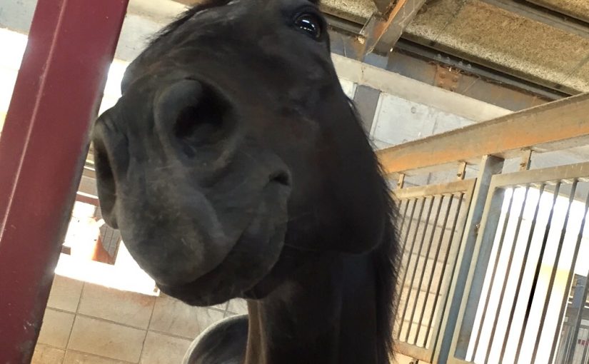 可愛いでしょ??