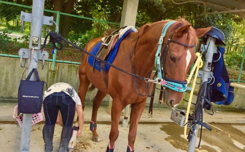 人も馬も身体は大切に！