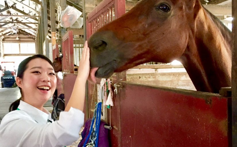 馬とハイタッチ・・・！？