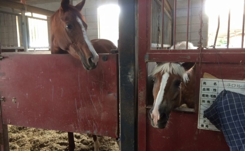 「今日の収穫は…？」「まぁまぁかな？」