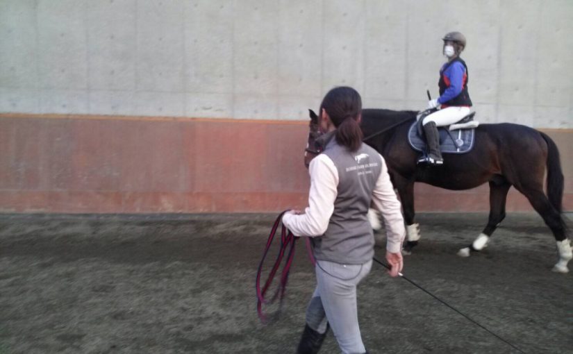 馬とかかわるお仕事。