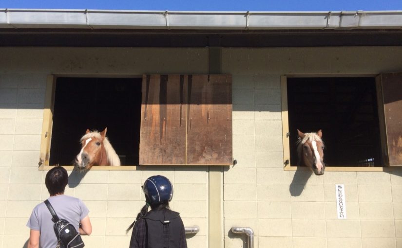 乗馬体験のお出迎えはビッキー＆チロル兄弟。