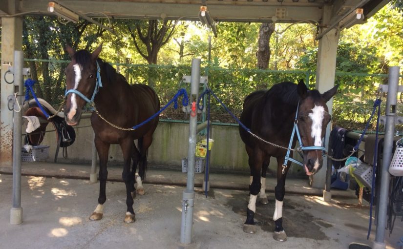 ブルーが似合う男たち。