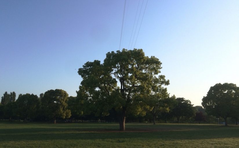 ちょっと、脱線。