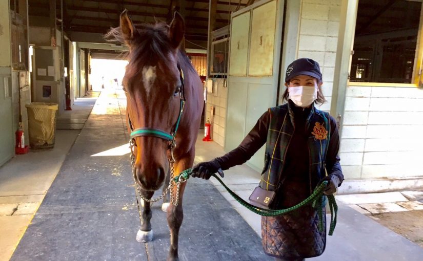 馬房から蹄洗場へ移動中♪
