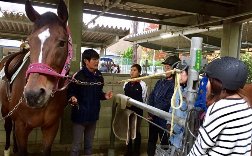 馬装・手入れ講習会を開催しました🐎！