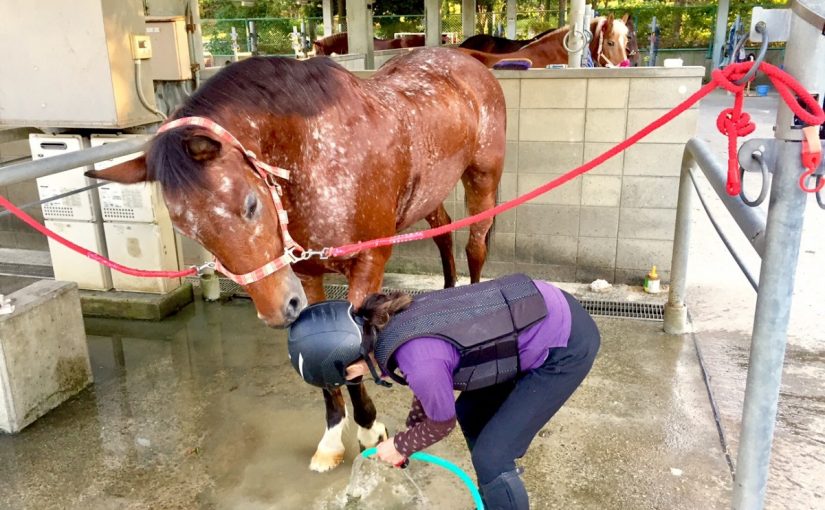 ねえーねえーちょっと～