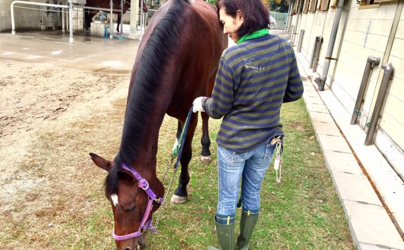 久しぶりのお散歩にテンションあげあげアトムさん