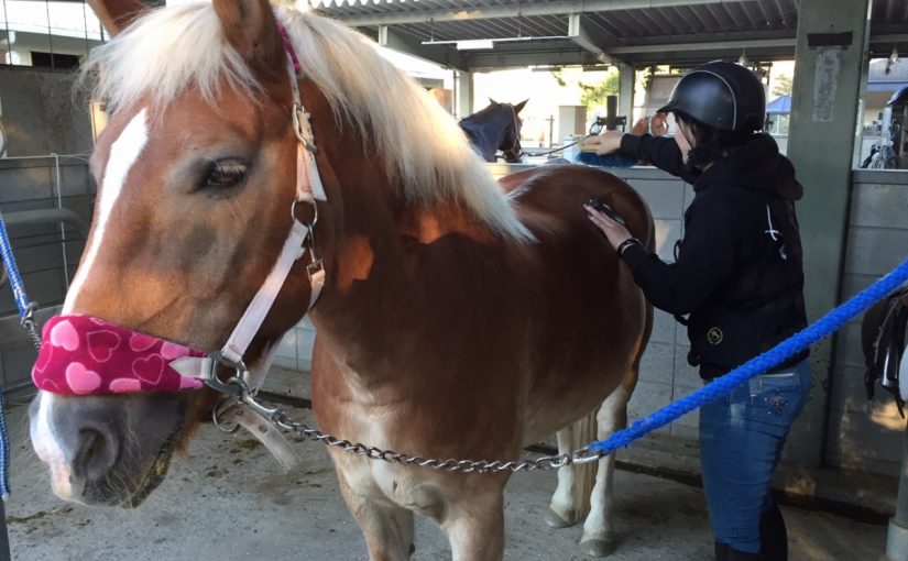 丁寧に確実に・・・