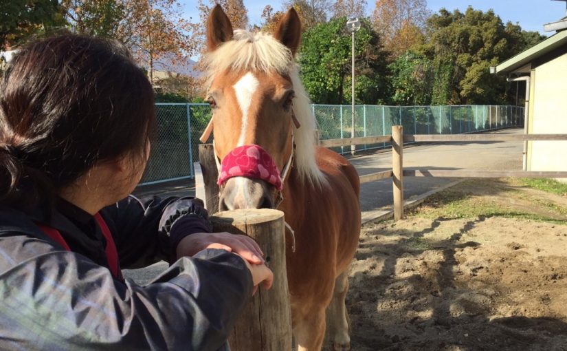 レッスン後にまったり休憩♪