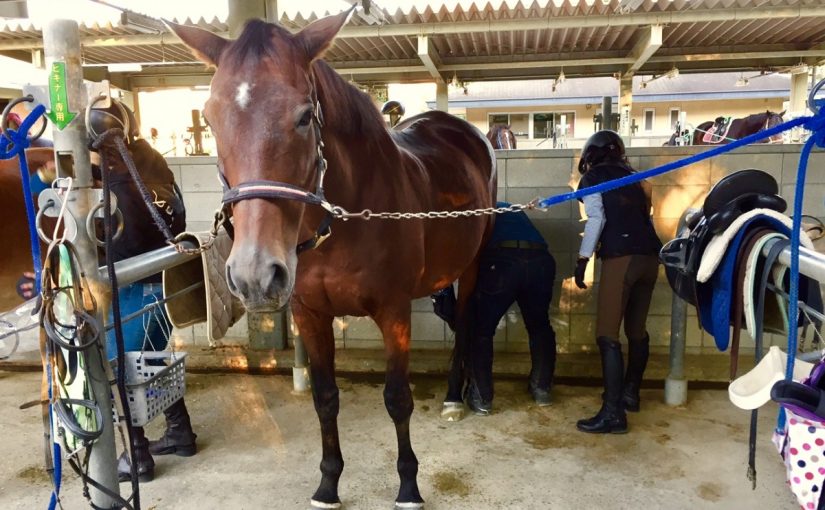 分からなくても大丈夫！！