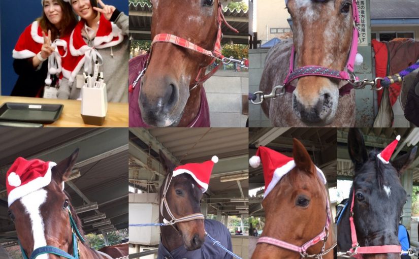 メリークリスマ〜ス🎄