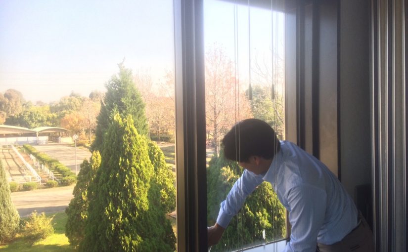 深窓の美少年……？