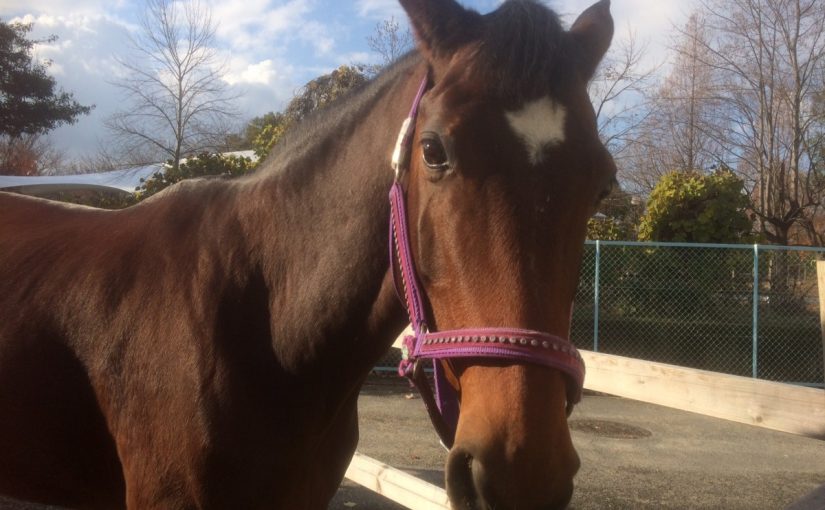 今朝のオトコマエ♪