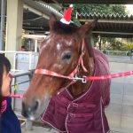 今年も残り数日…‼︎