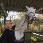 これも明日で終わり…‼︎