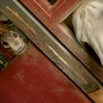 クリスマスホースショー後の1日🐴