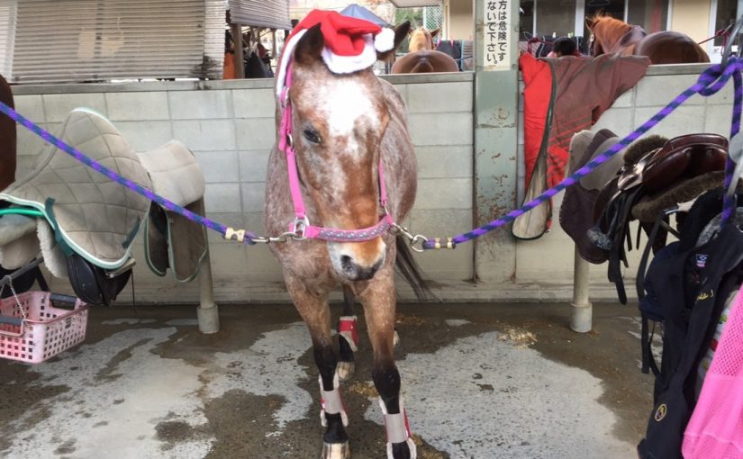 少し早めのメリークリスマス🎄