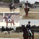 2級ライセンステスト🐎