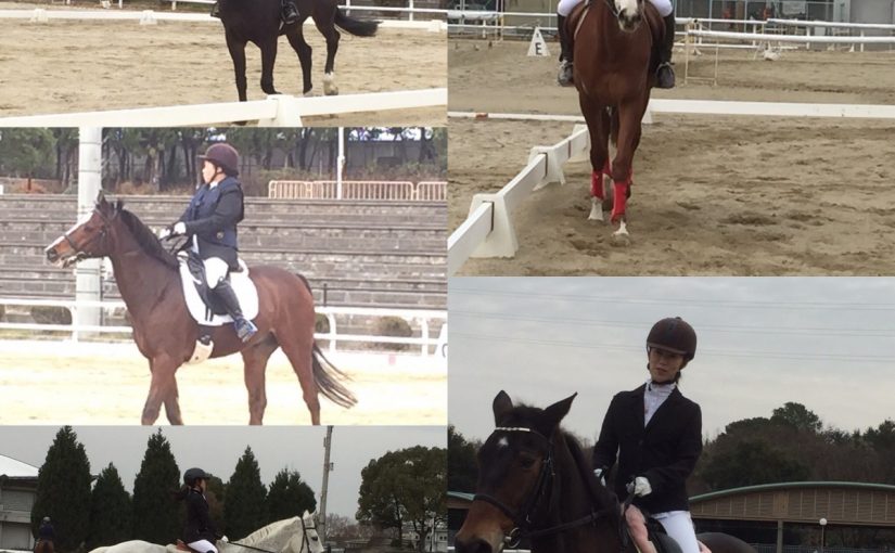 2級ライセンステスト🐎