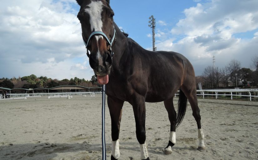 寒いけど、こんな青空もアリ、です。