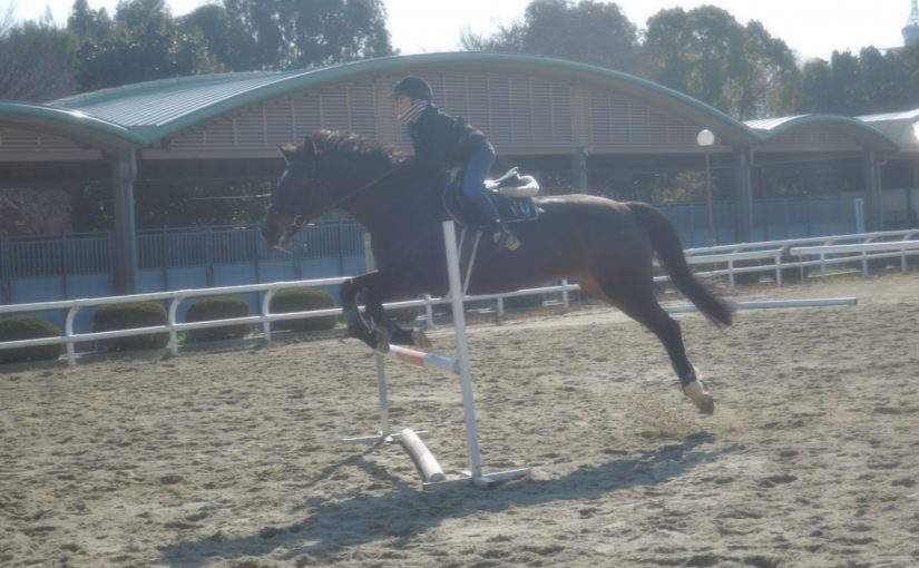 障害飛越の瞬間