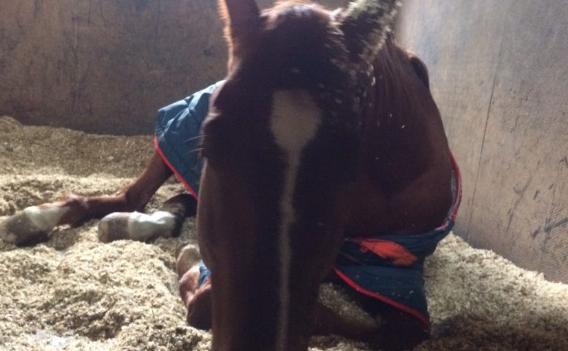 静かにお休み中なフロンティア。