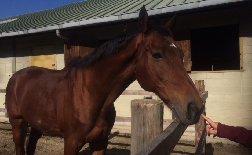 ひなたぼっこインディ、人差し指にタッチ★