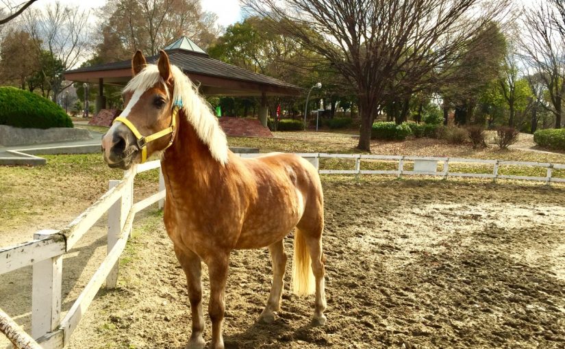 シャキッとポージング‼︎✨