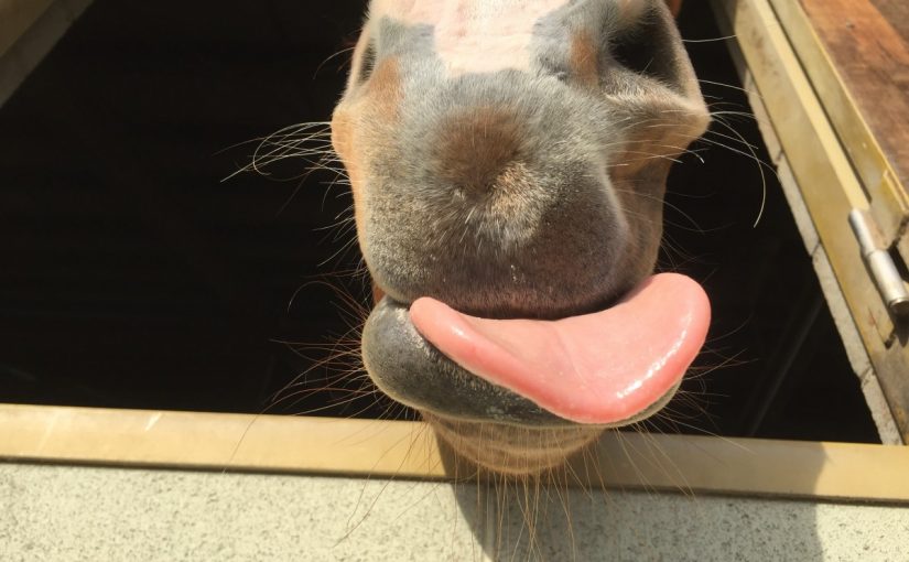 さて、誰でしょう(ﾟωﾟ)⁇