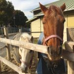 もしかしてアイドル…(°_°)⁇