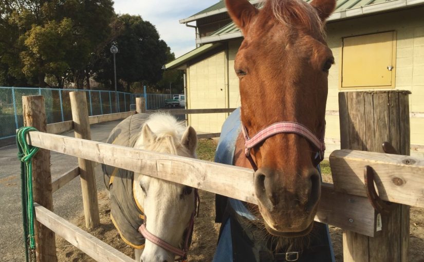 もしかしてアイドル…(°_°)⁇