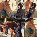 おっさんぽ～っ♪