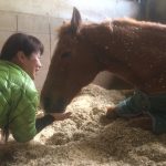 ぐぅデレ　モルツ