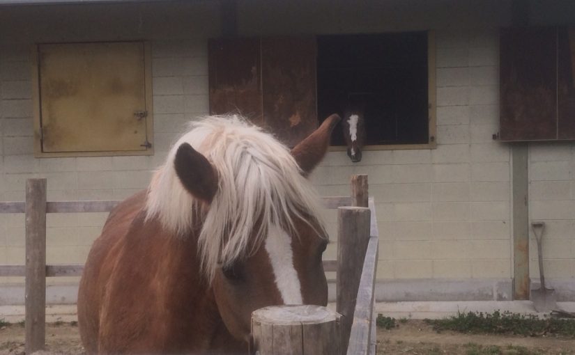 背後に、誰かが……