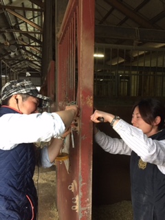 大工ごっこ！！