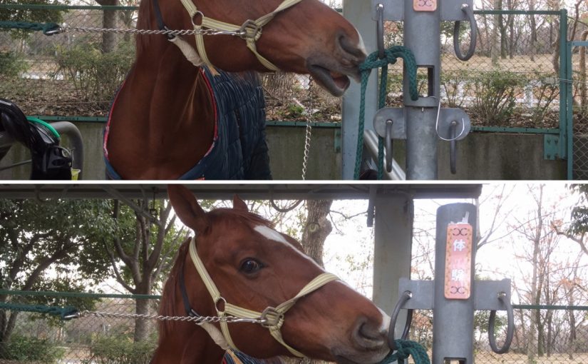 708AA6B9-EE00-40DB-975C-4A2612EA8801