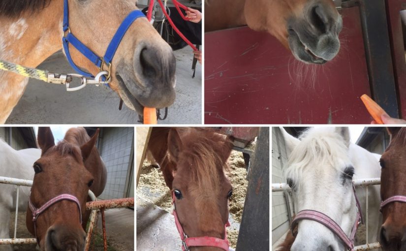 77EAAAB3-16B3-445F-B4C9-830CCCD33223