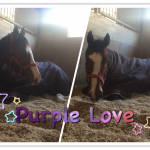 こういう姿にキュンキュンします(≧▽≦）