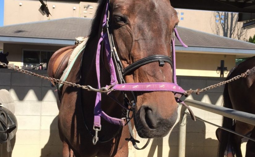 おぉ～い( ﾟДﾟ)