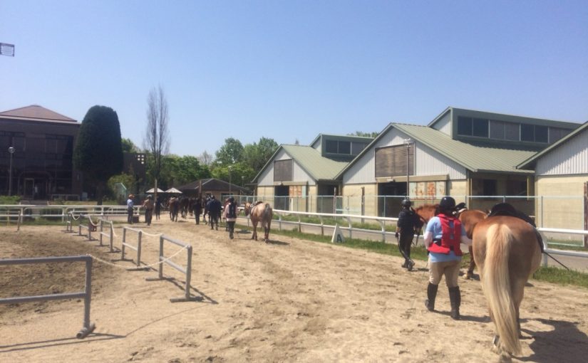 みんなでぞろぞろ…