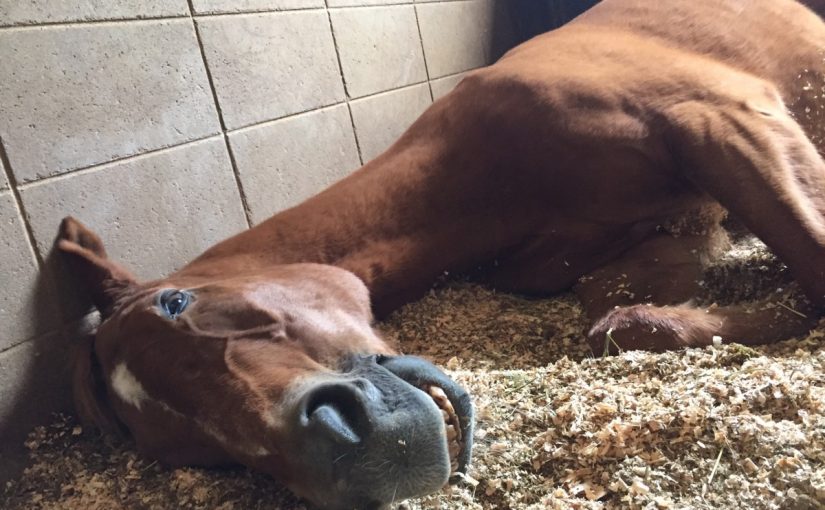 イビキ・・・・・・