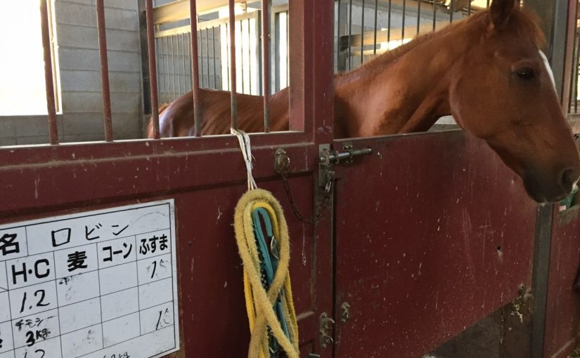 実は僕は・・・・