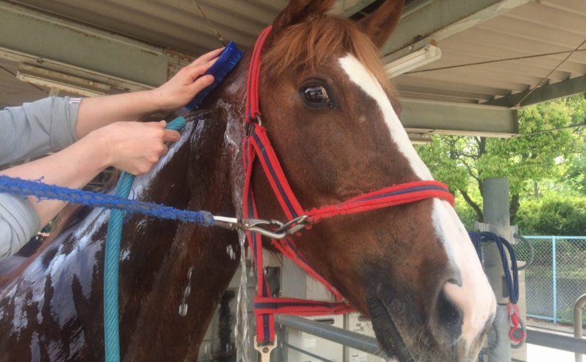 なにみてるのよぉ～