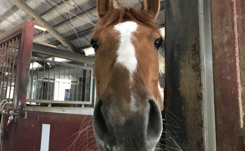 ズーーームっ👀の答え