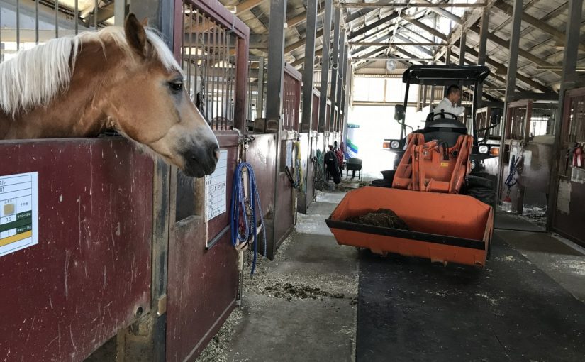 馬房掃除