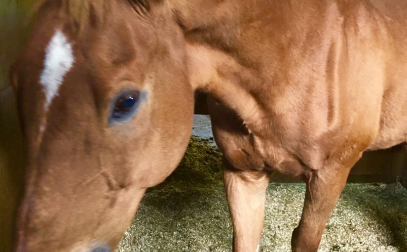 ちょっとちょっと(・ω・)ノシ