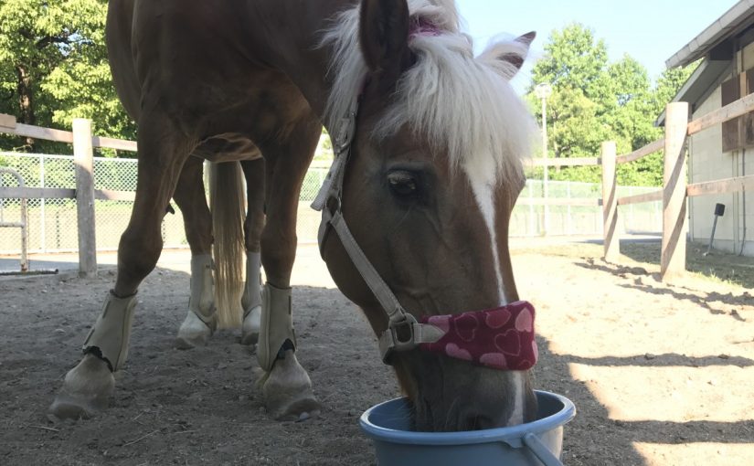 💧水分補給💧