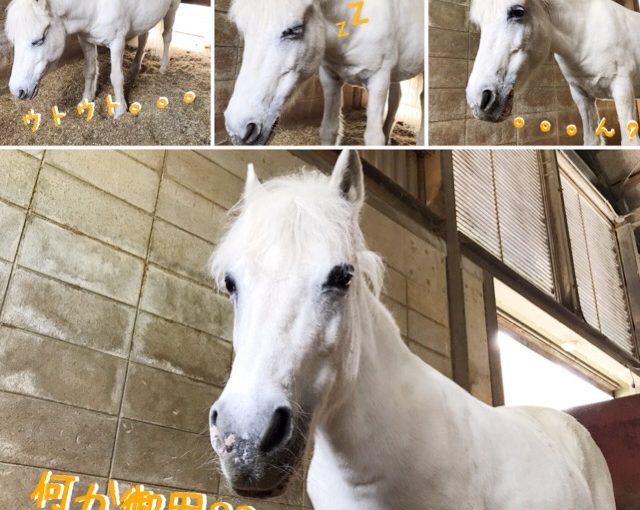 いいお天気☀️